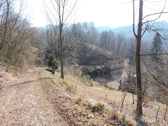 Particolari della strada