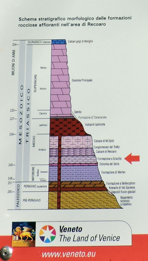 Monte Singio - Schema stratigrafico morfologico