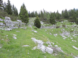 Monte Zingarella - dettagli del sentiero