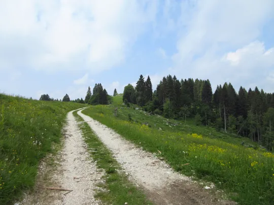 Dettaglio della strada