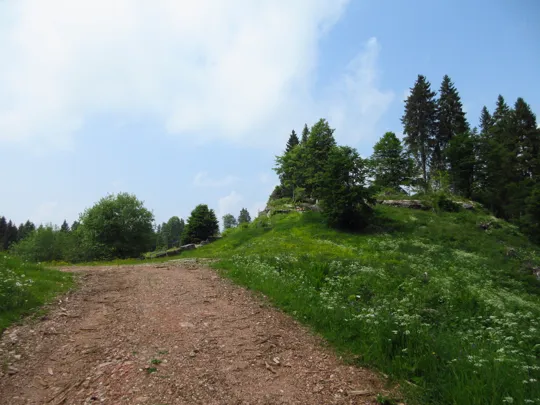 Nei pressi del labirinto