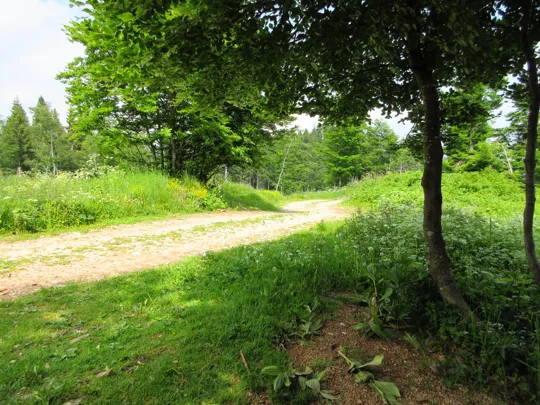 Incrocio con la strada sterrata