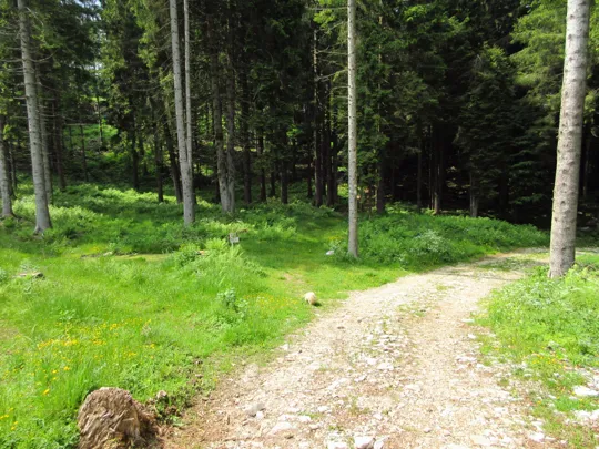 Inizio del sentiero verso le trincee