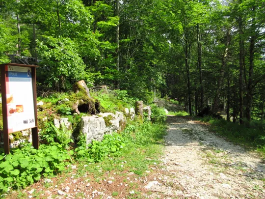 Dettaglio della strada