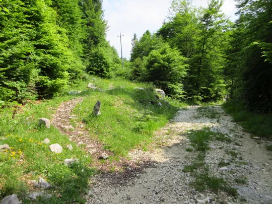 Sentiero verso il cimitero