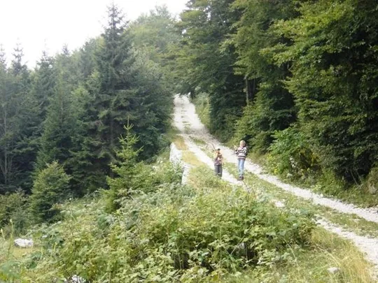 Monte Favaro - inizio della strada