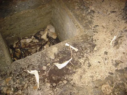 Monte Favaro - grotta