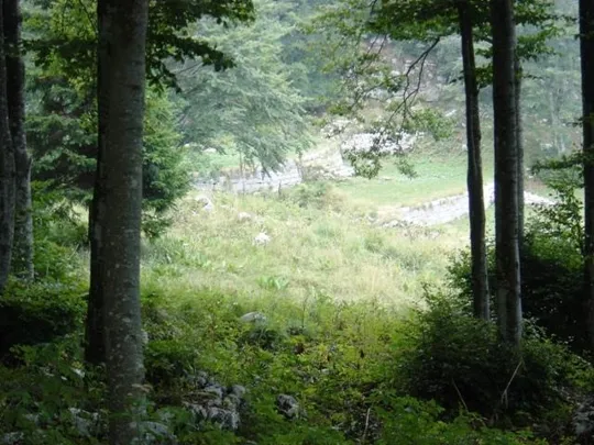 Monte Favaro - accampamento