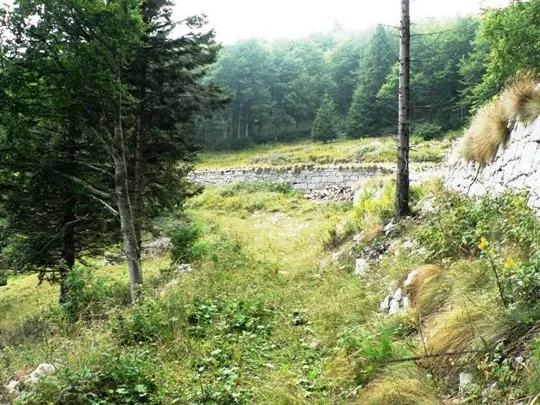 Monte Favaro - verso l'accampamento