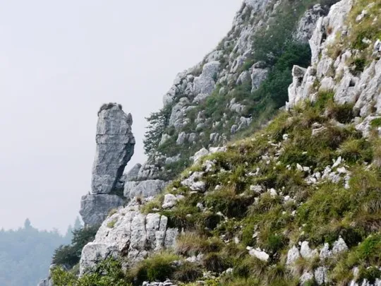 Monte Favaro - sentinella