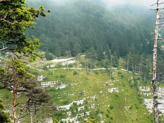 Monte Favaro - accampamento