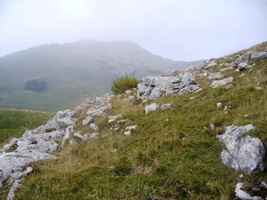 Monte Novegno - verso la cima