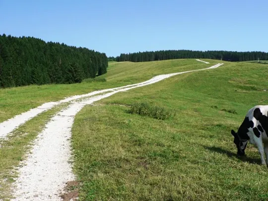 Monte Valbella - Strada sterrata verso la cima