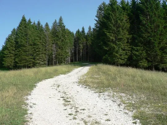 Monte Valbella - In prossimità del bosco, quasi alle meta