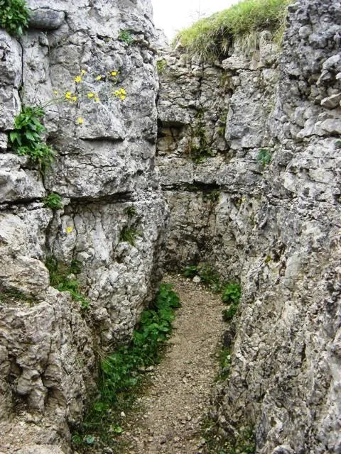 Monte Zebio - trincea
