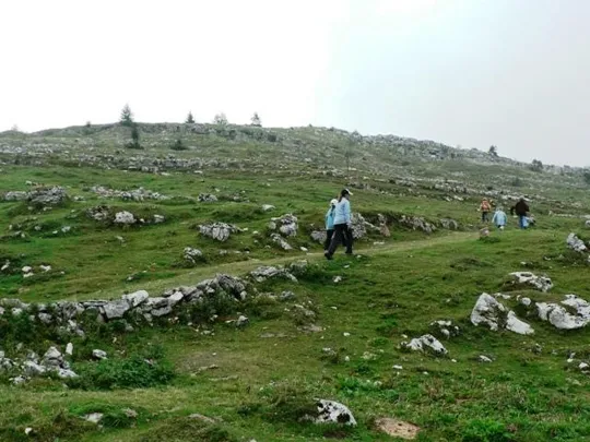 Monte Zebio - salita verso Crocetta di Zebio