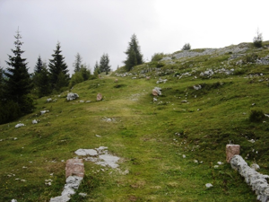 Monte Zebio - strada di avvicinamento
