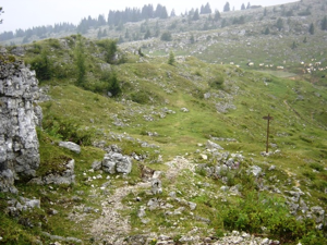 Monte Zebio - strada di avvicinamento