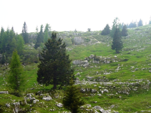 Monte Zebio
