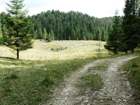 Monte Mosciagh - cimiteri