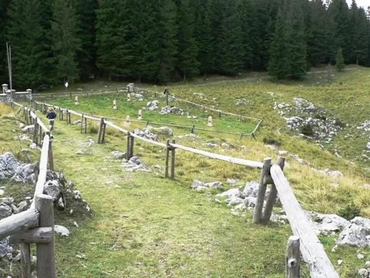 Monte Mosciagh - cimiteri