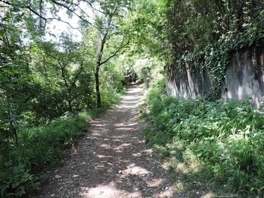 Particolare del percorso