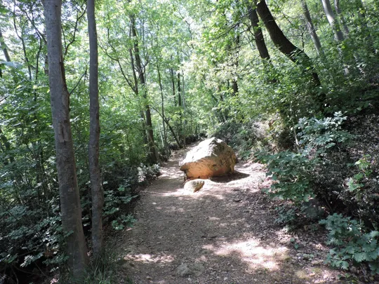 Masso in mezzo al sentiero