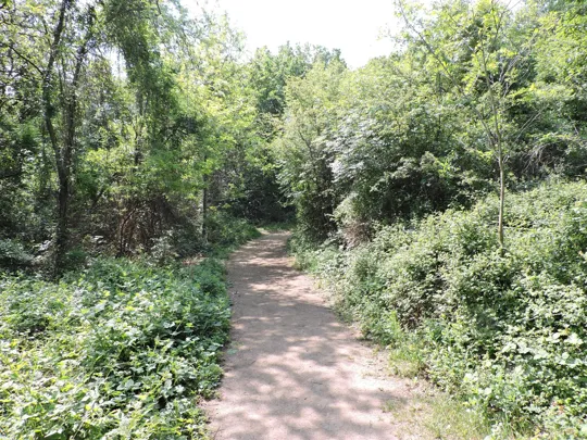 Particolare del percorso