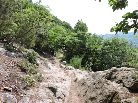 Particolare del percorso