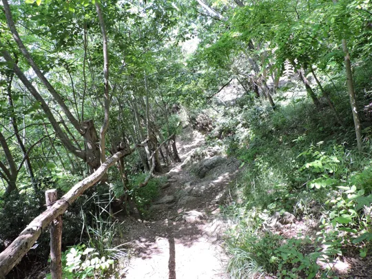 Parte finale del percorso