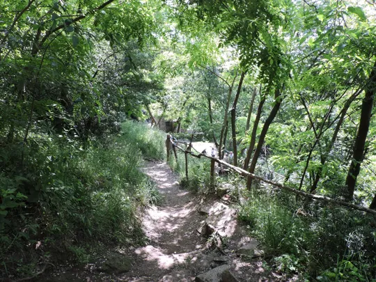 In vista dell'oratorio