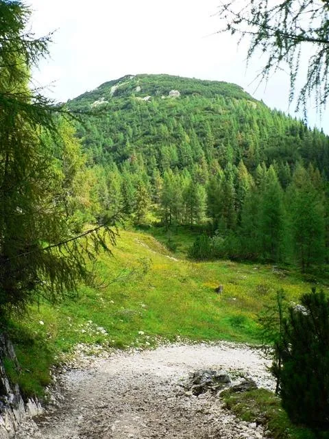 Monte Ortigara - sentiero verso la chiesetta