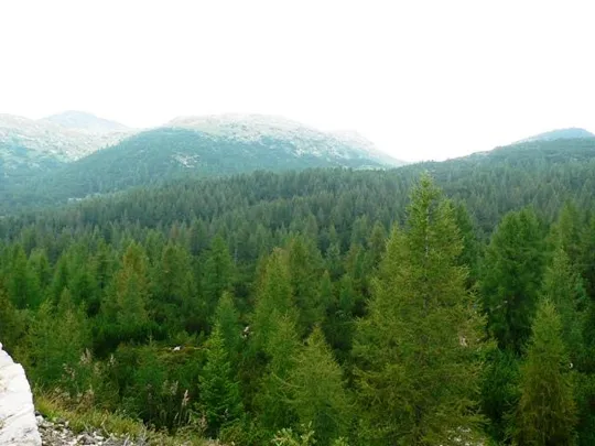 Monte Ortigara - Lozze