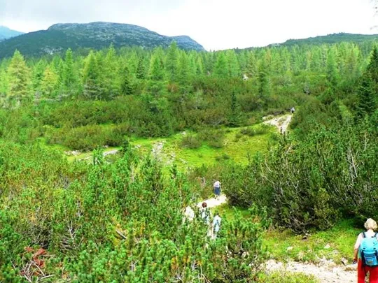 Monte Ortigara - Sentiero dal Lozze al baito Ortigara