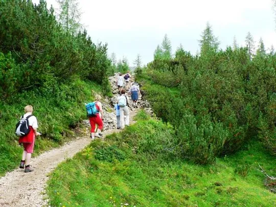 Monte Ortigara - sentiero