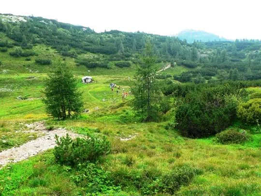 Monte Ortigara - Sentiero dal Lozze al baito Ortigara