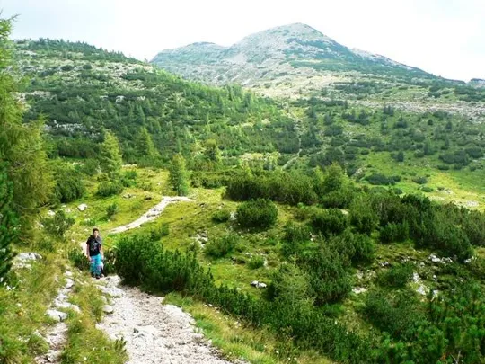 Monte Ortigara - Sentiero dal Lozze al baito Ortigara