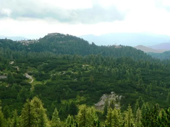 Monte Ortigara - Sentiero dal Lozze al baito Ortigara