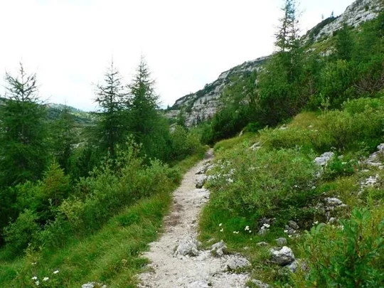 Monte Ortigara - Sentiero di ritorno da quota 2003 al baito Ortigara