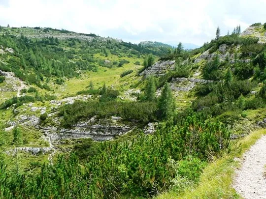 Monte Ortigara - Sentiero di ritorno da quota 2003 al baito Ortigara