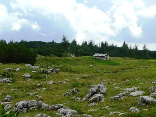Monte Ortigara - Sentiero di ritorno da quota 2003 al baito Ortigara