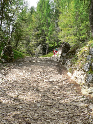 Monte Ortigara - sentiero
