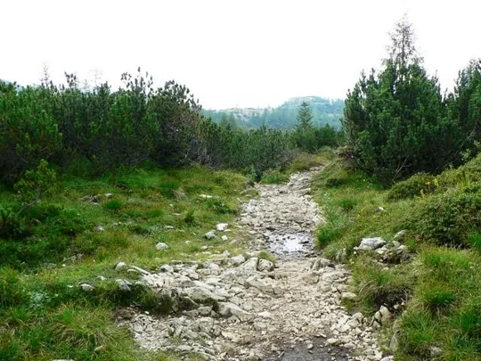 Monte Ortigara - Sentiero dal Lozze al baito Ortigara