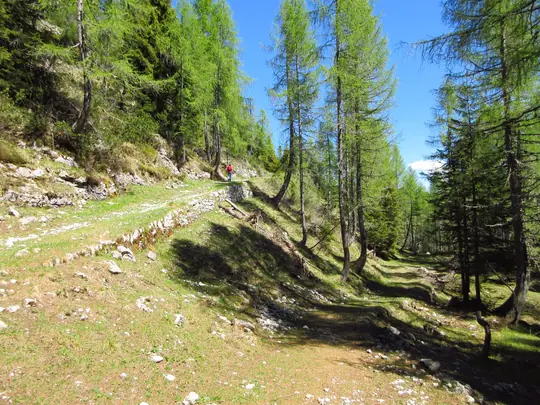 Dettaglio del percorso