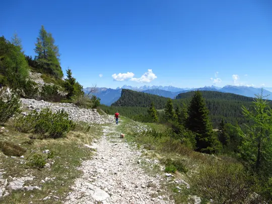 Dettaglio del percorso