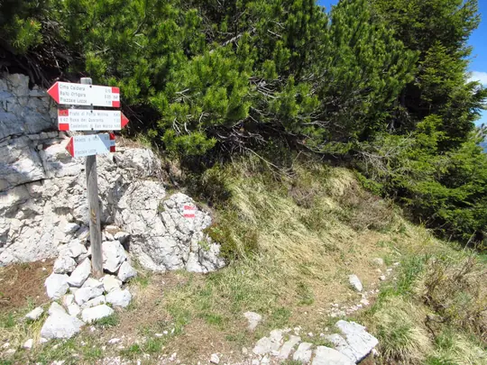 Dettaglio dell'incrocio