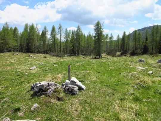 Proseguire verso gli alberi