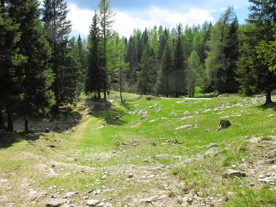 In vista della strada asfaltata