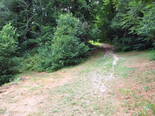 Dettaglio del sentiero