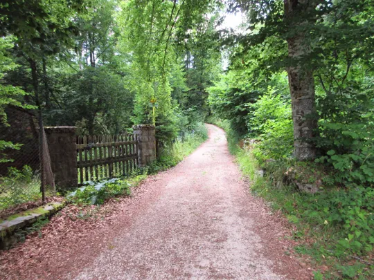 Dettaglio della strada militare